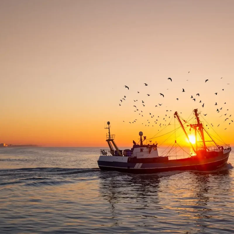 starlink fishing vessels maritime 2