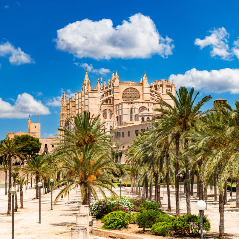 dohle golf invitational, mallorca, kerry pettitt, castor marine